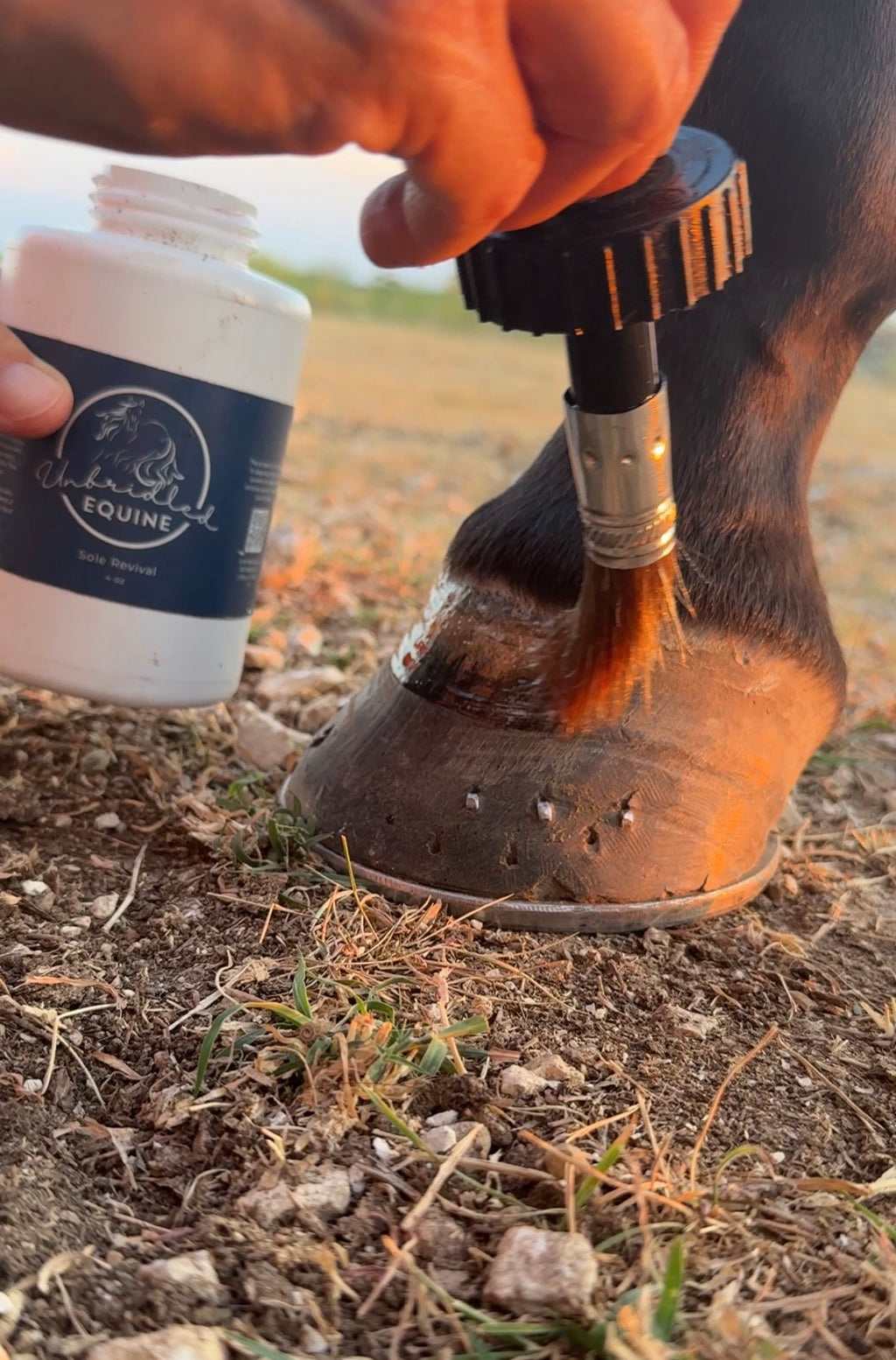 Sole Revival Hoof Oil